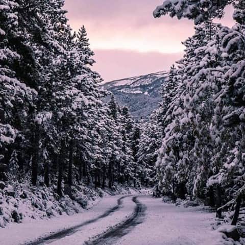 Melvita Officialのインスタグラム：「Qui a envie de s’échapper faire une petite balade en forêt enneigée ? 🌲🌨 Nous oui, on attrape un bonnet, une paire de boots et on file !  Merci à @caprapyrenaica pour ce joli cliché hivernal.  #melvita #cosmetique #engage #bio #organic #madeinfrance #france #hiver #winter #foret #forest #cold #neige #snow #paysage #pyreneescatalanes」