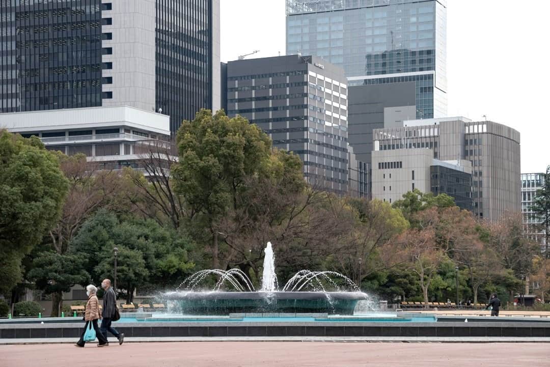 東京都庁広報課さんのインスタグラム写真 - (東京都庁広報課Instagram)「「日比谷公園／ Hibiya park(2021.1.6撮影)」最寄り駅：日比谷駅  #大噴水  #皇居　#日比谷公会堂　#野外音楽堂　#千代田区　#日比谷線　#花壇 #tokyotokyo #tokyogram #moodygrams #jp_gallery #ptk_japan #gdayjapan #realtokyo #beautifuldestinations #tokyojapan #instatokyo #loves_nippon #phos_japan #bestjapanpics #cooljapan #japan_of_insta #photo_jpn #illgrammers　 #景色 #東京 #Tokyo #东京 #도쿄 #tokyogood」1月25日 17時01分 - tocho_koho_official