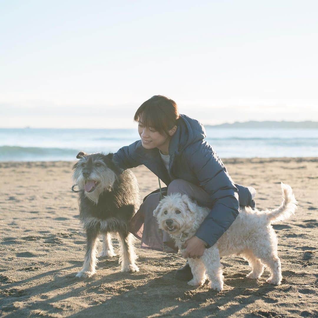 甲斐麻美さんのインスタグラム写真 - (甲斐麻美Instagram)「早く春になってほしいような  時間が もっとずっと ゆっくり過ぎてほしいような  日常は いつも尊い  #いぬとわたし #犬とわたし #犬のいる暮らし #海 #海散歩 #元保護犬 #保護犬を家族に #100パーセントリサイクルダウン #Patagonia #夕焼け #笑う犬 #テリアミックス #日常」1月25日 17時04分 - kaico_asami