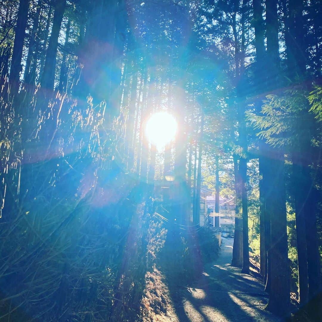 のインスタグラム：「三峯神社で撮影。太陽のエネルギーが運気を高めてくれます。 #待ち受けにどうぞ   金運大全  仕事運、財運、勝負運が上がり、 たちまちお金がやってくる160の方法 2021年1月13日発売！ Amazonや書店で発売中です！  Love Me Doの大予言 〜2021年から輝く未来を築くために〜 発売中です！  #三峯神社  #三峯神社パワースポット #金運大全 #LoveMeDoの大予言」