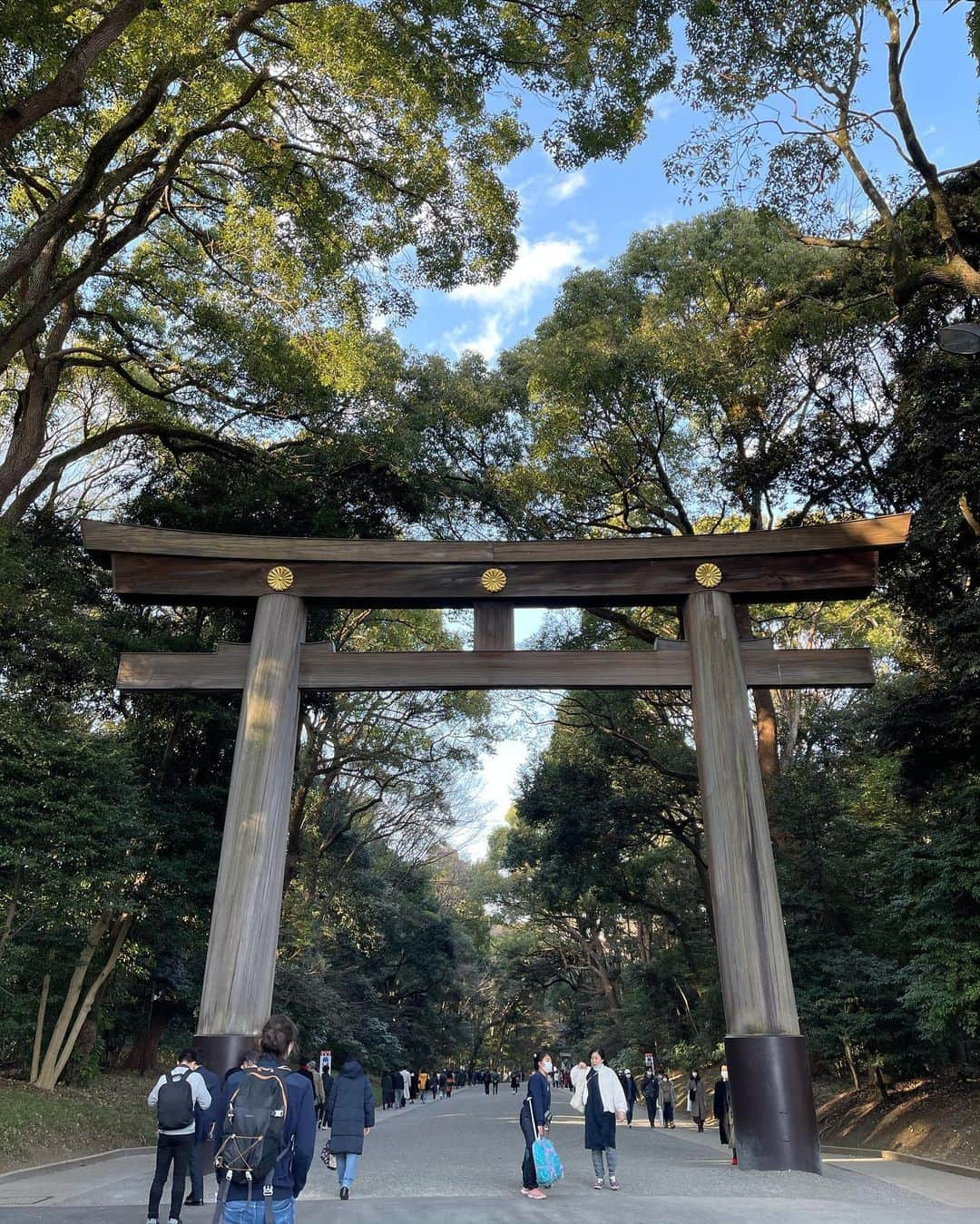 大村まなるのインスタグラム：「明治神宮 #明治神宮」