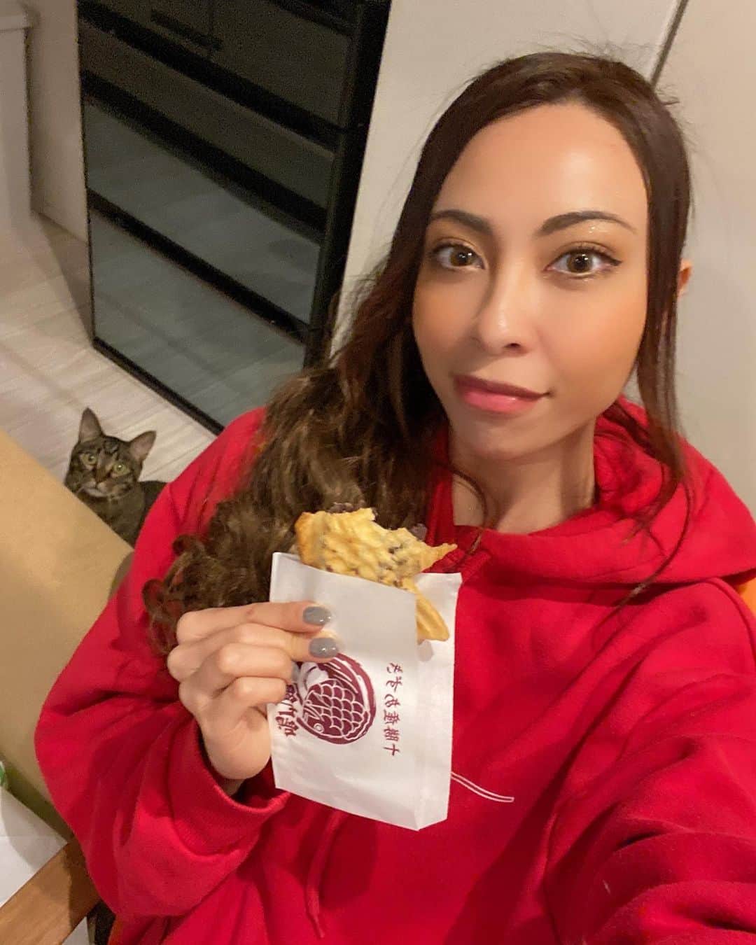 CAMIRAのインスタグラム：「1枚目のぽんずの目線が🙈そのあと袋がとれなくなってたけど可愛かったからちょっとそのままに🙏❤️癒し。 #たい焼き#お家時間#ねこすたぐらむ#ねこのいる生活」