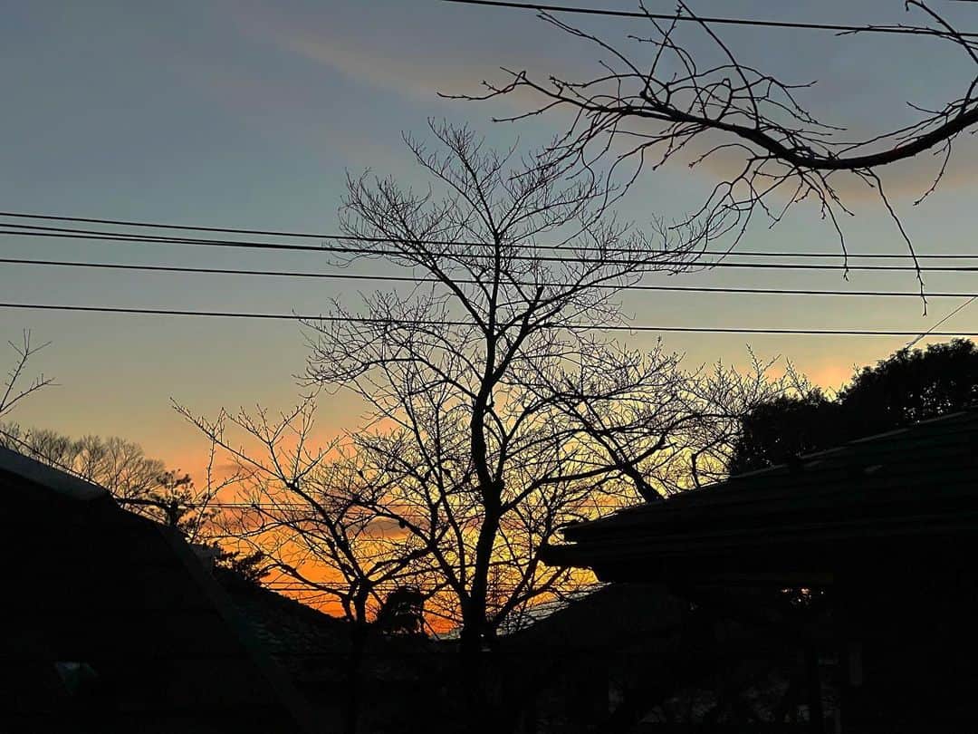 佐藤東弥さんのインスタグラム写真 - (佐藤東弥Instagram)1月25日 17時31分 - touyasato