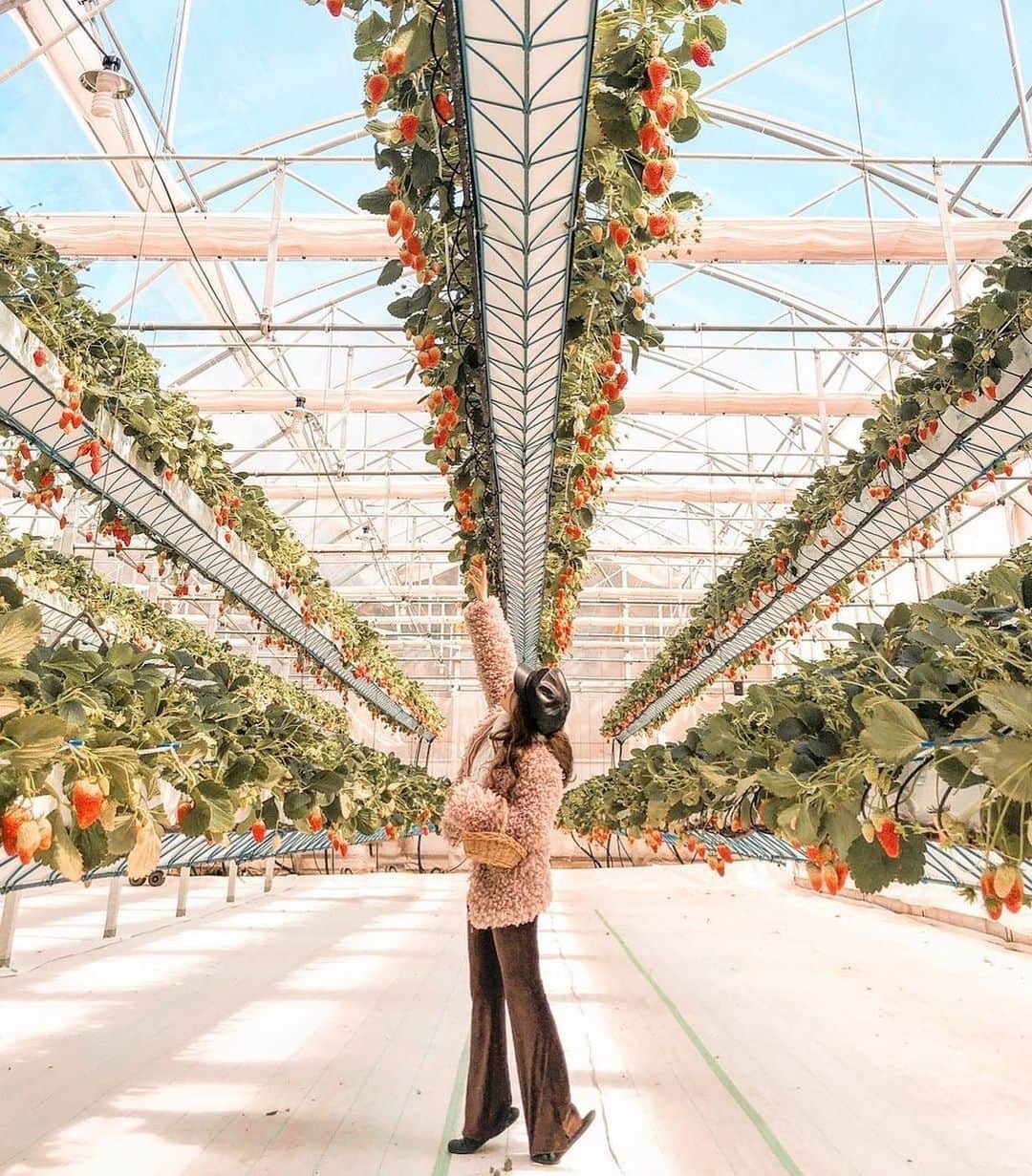 タビジョのグルメインスタ