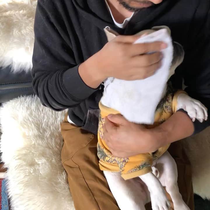 つの丸のインスタグラム