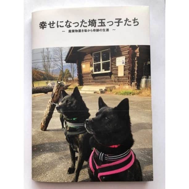 Photobackさんのインスタグラム写真 - (PhotobackInstagram)「本日ご紹介する作品は tanefuku (@tanefuku)さまの一冊🐕 わんちゃんたちとの 素敵な絆が綴られた作品です💕 . 『我が家の甲斐犬2匹は保護犬。 2019年2月、甲斐犬6匹が 埼玉の廃材置き場に つながれっぱなしに なっていたところを 保護されたそうです。 . 保護してくださった方の 行政への働きかけで 命を救われ、甲斐犬を中心とした 保護活動をしているNPO団体さまへ向かい、 心身ともにケアを施され、 里親探しでご縁があり、 我が家にやってきたのがはじまりです。 . このフォトブックは 犬たちの命の恩人である はじめに保護してくださった方に 感謝の気持ちを込めて、 今の幸せをカタチある アルバムに収めて クリスマスプレゼントにしました😊』 と、tanefuku (@tanefuku)さま📖 . とっても心あたたまる ストーリーですね🥺 中面のお写真を見てみると ワンちゃんたちが みんな安心した表情を 見せているのが印象的です💗 . 中面のレイアウトも多くの 種類を取り入れてらっしゃるので、 ワンちゃんたちの魅力が余すこと無く 伝わったのではないでしょうか💐 . こちらの作品は LIFEの36ページでつくられています。 普段の生活に溶け込むような デザインが特長で、 日常を切り取った作品にぴったり！ 今回の作品もほっこりする雰囲気にも フィットしています😌 . tanefuku (@tanefuku)さま、 今回は素敵な作品を ありがとうございました✨ . #photoback #フォトバック #フォトアルバム #フォトブック #フォトブックづくり #アルバム #photo #写真 #photoback作品紹介2021 #LIFE #愛犬 #ペット #dog #甲斐犬 #動物保護 #保護犬」1月25日 18時00分 - photoback.jp