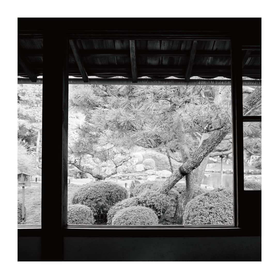 のインスタグラム：「. #10eyevan . Shoren-in(1150) 青蓮院門跡 . #shorenin #kyoto #青蓮院門跡 #京都 . #gallery_10eyevan」
