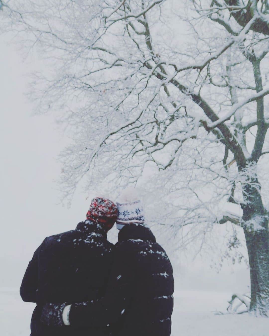 Phil Harrisのインスタグラム：「Winter wonderland ❄️☃️🌨😍 . #happy #happiness #joy #winter #snow #beauty #beautiful #instaphoto」