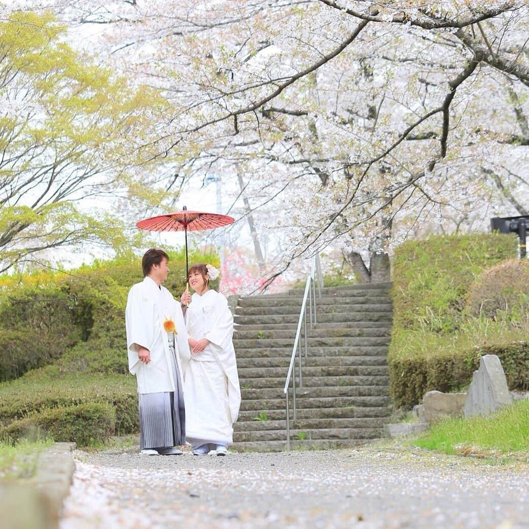 ブライダル グランシア須賀川《福島県須賀川市：結婚式場》のインスタグラム：「☆。・。・。・。・。・。・。・。・。・☆  ♪───予約殺到中・空き日数わずか────♪  大好評の平日限定！Photo Wedding📷 ‼️春限定‼️新プラン登場🎶  🌸桜フォト🌸 満開桜の最高ロケーション♡  今だけの素敵なプラン💕  ☆。・。・。・。・。・。・。・。・。・☆﻿ 🌿須賀川の結婚式場 　【グランシア須賀川】 🌿﻿住所　福島県須賀川市池上町７４﻿ 🌿TEL　0248-75-1166🌿﻿FAX　0248-76-0484﻿🌿mail　info@grancia.jp﻿ 🌿公式HPでは最新情報を日々更新中♪﻿www.grancia.jp  🌿LINE公式アカウントも登場！ お得な情報を受け取るには、以下のリンクから友だち追加してください◎ https://lin.ee/1cChnUR  🌿フェアのご予約は、公式ホームページから、または公式LINE、お電話からも受付中♡  ☆。・。・。・。・。・。・。・。・。・☆﻿ ﻿ #須賀川の結婚式場 #須賀川結婚式 #グランシア須賀川 #グランシア #オリジナルウェディング #wedding #happy #プレ花嫁 #プレ花婿 #貸切 #結婚式 #ブライダル #オシャレ #人気式場 #幸せ結婚式 #ナチュラル #japan #sukagawa #フォトウェディング #緑 #青空 #桜　#春」