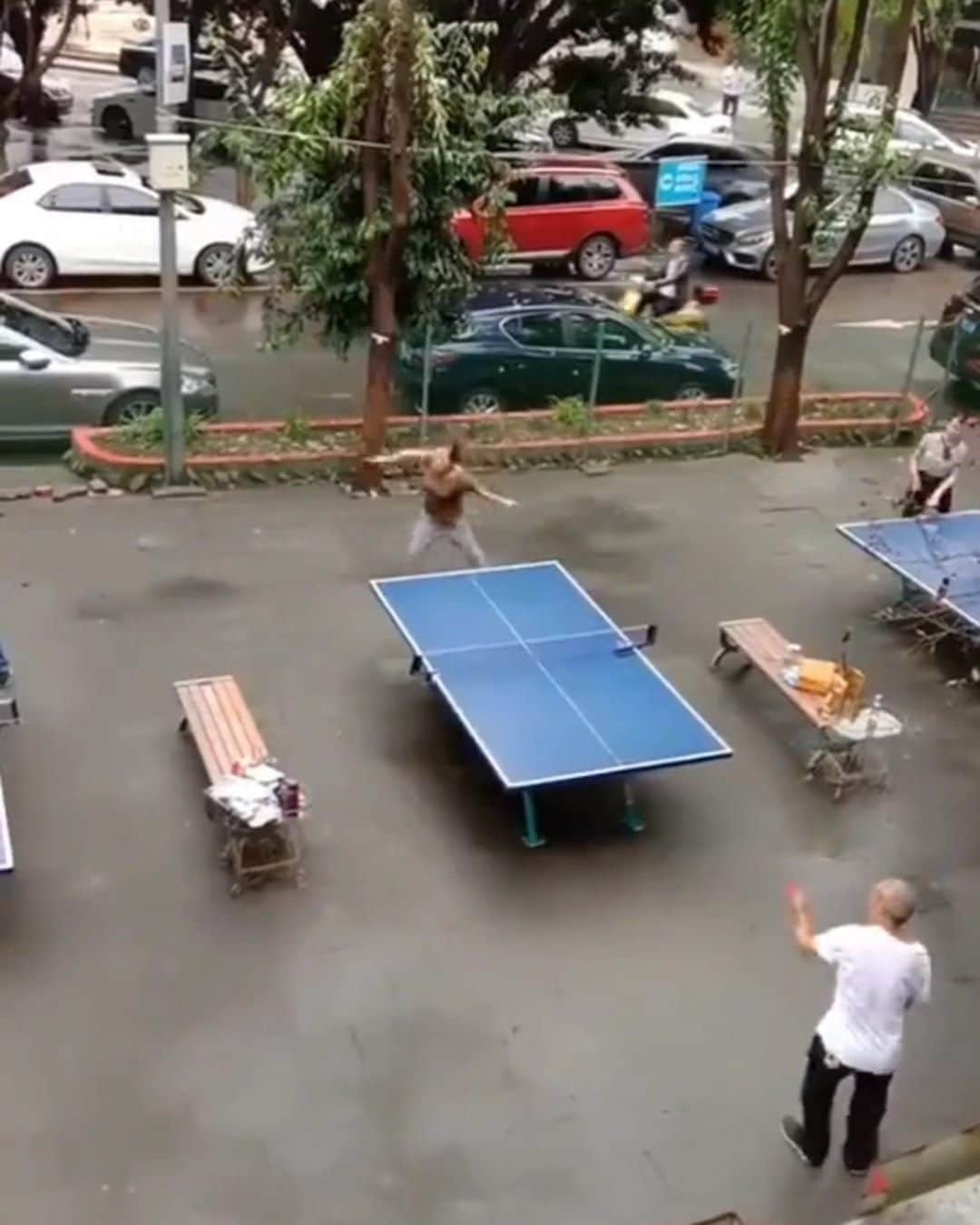 のインスタグラム：「We all know that one mate who can't handle high balls 🤣  #tabletennis」