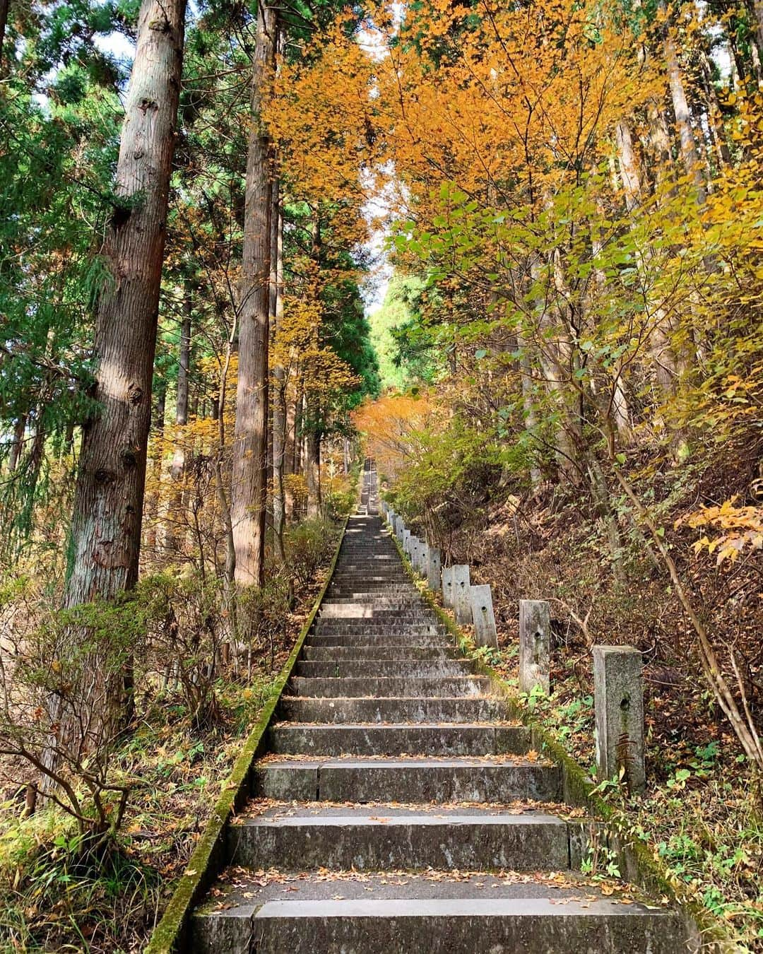 一双麻希 さんのインスタグラム写真 - (一双麻希 Instagram)「YouTubeでも少し紹介した、 山梨県の『石割山』と『石割神社』。 キャンプしていて、近くに山がある！と知って、思いつきで登ってきました。笑  なんと初っ端から403段の階段が😅😂 最初だけ息が上がるトレーニング並みの登りですが💪💦それを登り切ると迫力ある石割神社があります😌 (周りを3回回ると幸運が訪れると言われているそうです✨) 階段以外は、頂上までそんなにハードではなく、1時間ちょっとのハイキング☻ 富士山も顔を出してくれて(2枚目)、 山中湖まで見えて気持ちよかったなぁ。。 初めて、キャンプからのハイキング。 爽快でした😆🏕⛰ ・ ・ #いっそうまきchannel #YouTube  #過去pic #石割山 #石割神社 #山中湖 #道志村 #ハイキング #トレッキング #キャンプ女子 #キャンプ好き #トレッキング女子 #山ガール #登山 #登山初心者 #神社巡り #山好き #自然好き #アウトドア好き #アウトドア女子 #山伏オートキャンプ場 #trekking #hiking #naturephotography #outdoors #japanphotography #japanview #yamanakako #mtfuji」1月25日 19時23分 - isso_maki315