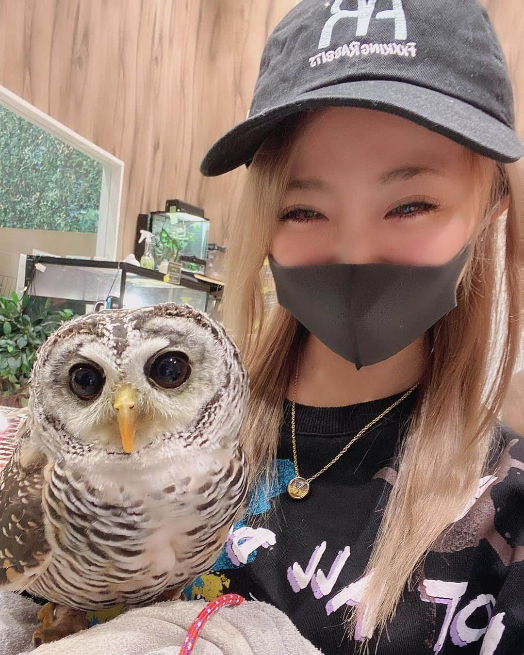 えりぴょんさんのインスタグラム写真 - (えりぴょんInstagram)「. . 今日初のフクロウカフェ行った🦉 . フクロウ以外にもいろんな動物いて1時間あっという間だったなあ🥺🥺🥺 . . 動物って癒し！可愛い！🦔🦉🐢💕💕💕 . . . . . #フクロウカフェ #フクロウカフェ名古屋 #ハリネズミ #カメ #モモンガ #🦉 #🦔 #🐢 #ペット #癒しの時間」1月25日 19時35分 - eripyon0912