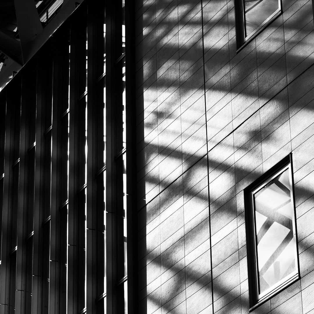 naotakeのインスタグラム：「斜光 - Slanting rays / X-T2 & Snapseed, 20210126 . . ライカ病にかかりそうなのを必死に堪える。 . . #spicollective #royalsnappingartists #infamous_family #rsa_main #infinity_photo_cult #jp_gallery_member #jp_gallery_bnw #trb_bnw #wp_bnw  #bnw_life #bnwlife_member #bnw_life_shots #bnw_captures #world_bnw #top_bnw #team_jp_ #team_jp_モノクロ #ig_energy_bw #ig_nihon #streetphotographybnw #igersjp #blackandwhite #bnw #bnwphoto #monochrome #bw #bnwphotography #今日もx日和 # fujifilm_xseries」