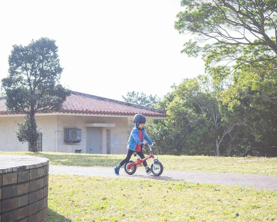 セソコマサユキさんのインスタグラム写真 - (セソコマサユキInstagram)「凧上げを早々に諦めた次男はストライダー的なやつを練習。  #沖縄 #移住 #子育て」1月25日 21時58分 - sesokomasayuki
