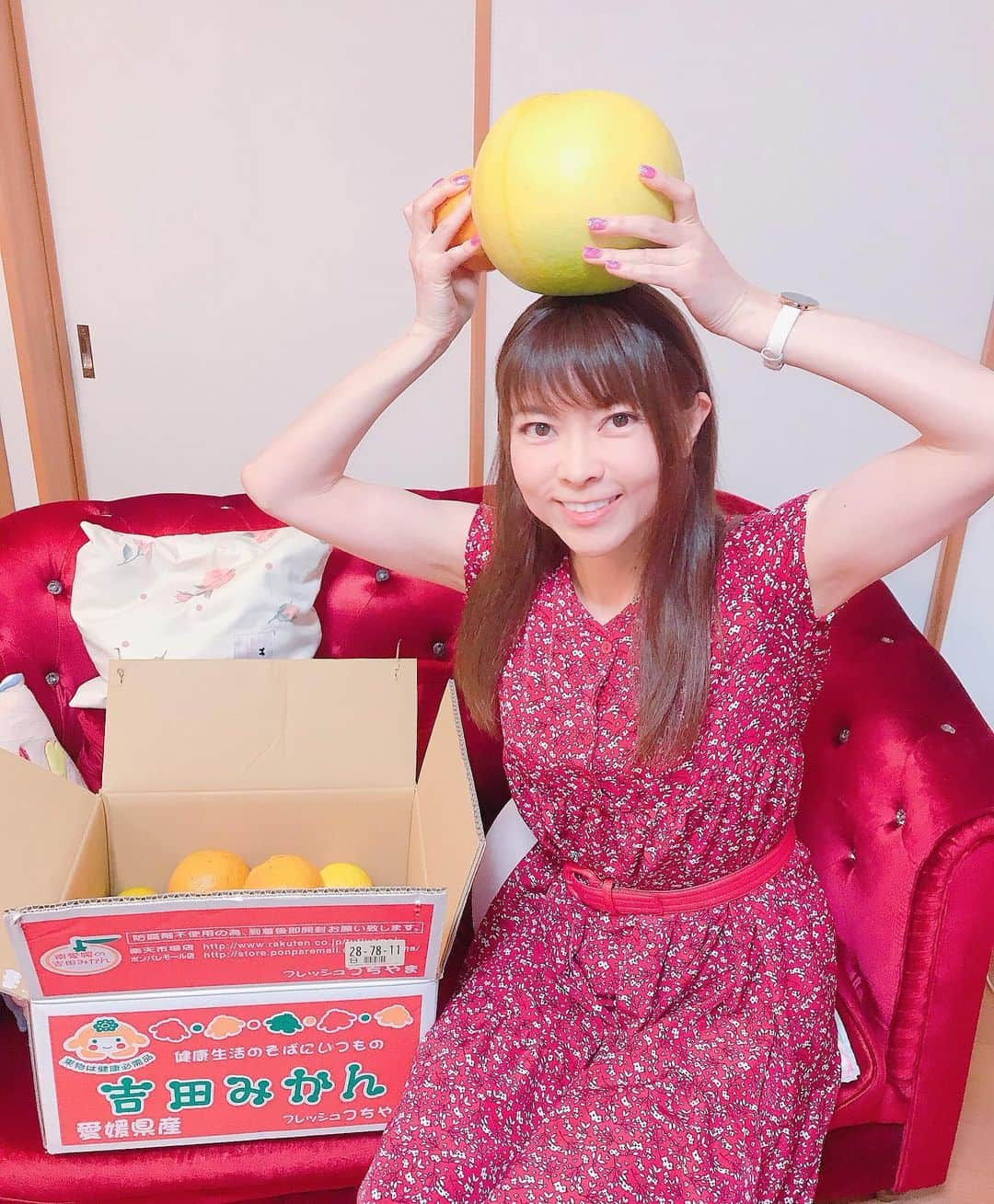 DJ MIYAさんのインスタグラム写真 - (DJ MIYAInstagram)「きゃっほーん♪みんなみかんは🍊好き？ MIYAみかん好きー！！(^ ^)  『フレッシュつちやま』さんから 旬の吉田みかんの詰め合わせファミリーセット⭐︎✨🌟が届きましたぁぁ💗 7kgのみかーん！すごーい！  1番巨大なものは、『村松文旦』いやー！貴重っ⭐︎✨食べるの楽しみー！土佐文旦もレモンみたいで可愛いね❤️  めっちゃめっちゃあまくておいしーい！！！！！！🍊 すごぉーい❤️どれも本当に自然の甘み♪(^^)  毎月、何が入るかお楽しみ♪どんどん新しいみかんが登場します。 月に一度ご注文されると大体の種類を制覇出来ますので、ぜひ皆様チャレンジ して下さいね♪   とのこと♪(o^^o)  @freshtutiyama  内容：吉田みかん 詰め合わせ ファミリーセット 7kg ●村松文旦 ●ポンカン ●スイートスプリング ●はるか ●伊予柑 ●土佐文旦 ●はれひめ ●煖小春 など、普段買えない、宇和島のみかんがずらーりだよーぅ💞🍊  年間、60品目のみかんを販売🍊されているのだそうでーす❤️すごい種類ですね♪みかん農園さんの愛情たっぷりだよ💞  フレッシュつちやまさんの商品は、楽天とかでも大人気かと思いますのでぜひぜひcheckしてみてねー💗❤️  フレッシュつちやまさんの公式アカウントの、フォロー&いいね！をして下さった中から抽選で 毎月3名にみかんをプレゼントしているようなので 皆さんフォロー&いいね！してみてね💞(o^^o)  #フレッシュつちやま #愛媛県 #吉田みかん #宇和島 #みかん #伊予柑 #土佐文旦 #みかん好き #愛媛 #スイートスプリング #フルーツ好き #果物好き #フィットネス女子 #免疫力アップ #インフルエンサー #インスタグラマー #今日のコーデ #今日のメイク #今日のファッション #グルメ女子 #グルメ好き #グルメインフルエンサー #グルメブロガー #旅インフルエンサー #旅インスタグラマー #インフルエンサー #インスタグラマー #お取り寄せグルメ  #お取り寄せスイーツ #お取り寄せ #おとりよせスイーツ #おとりよせグルメ」1月25日 22時08分 - dj_miya