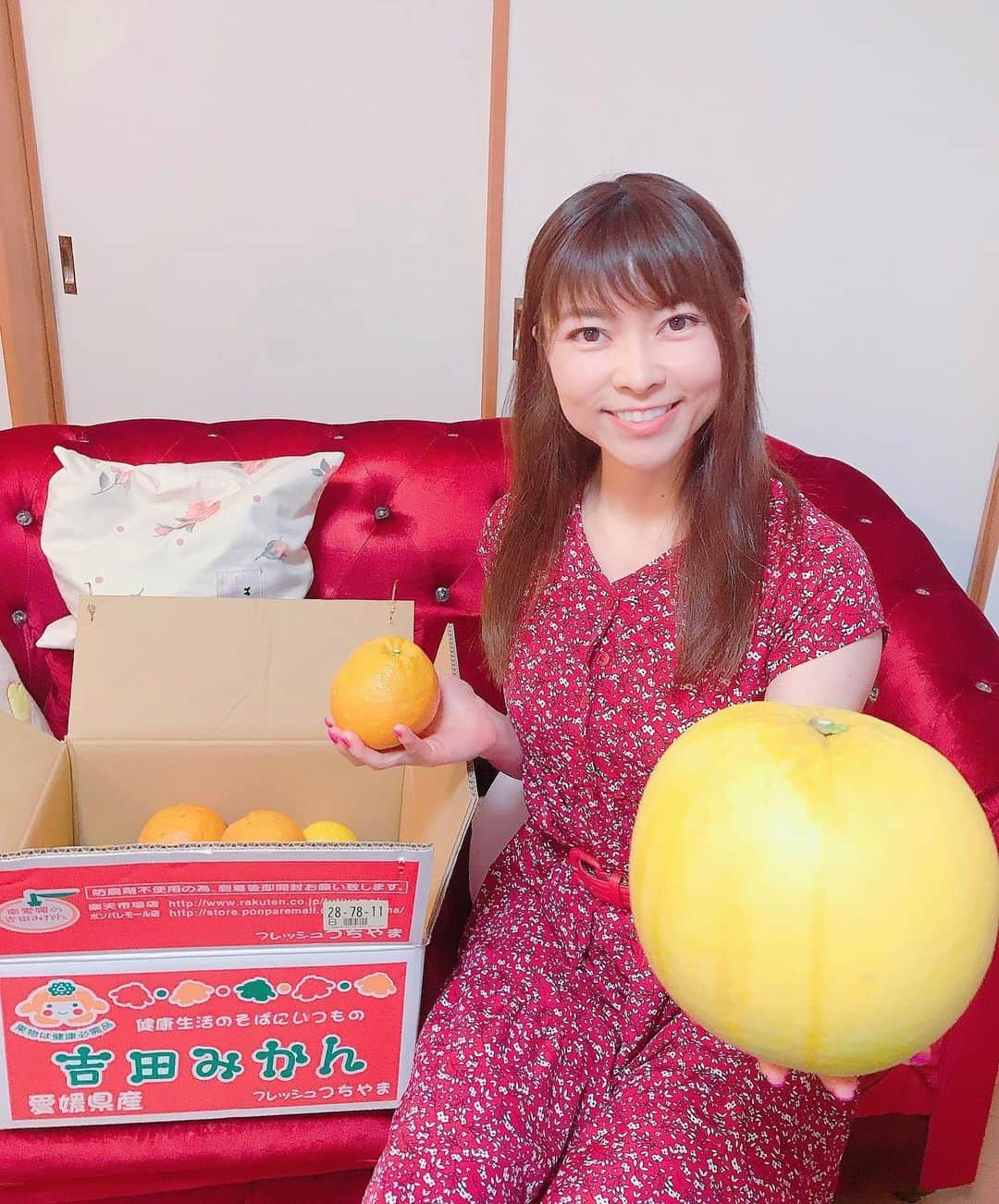 DJ MIYAさんのインスタグラム写真 - (DJ MIYAInstagram)「きゃっほーん♪みんなみかんは🍊好き？ MIYAみかん好きー！！(^ ^)  『フレッシュつちやま』さんから 旬の吉田みかんの詰め合わせファミリーセット⭐︎✨🌟が届きましたぁぁ💗 7kgのみかーん！すごーい！  1番巨大なものは、『村松文旦』いやー！貴重っ⭐︎✨食べるの楽しみー！土佐文旦もレモンみたいで可愛いね❤️  めっちゃめっちゃあまくておいしーい！！！！！！🍊 すごぉーい❤️どれも本当に自然の甘み♪(^^)  毎月、何が入るかお楽しみ♪どんどん新しいみかんが登場します。 月に一度ご注文されると大体の種類を制覇出来ますので、ぜひ皆様チャレンジ して下さいね♪   とのこと♪(o^^o)  @freshtutiyama  内容：吉田みかん 詰め合わせ ファミリーセット 7kg ●村松文旦 ●ポンカン ●スイートスプリング ●はるか ●伊予柑 ●土佐文旦 ●はれひめ ●煖小春 など、普段買えない、宇和島のみかんがずらーりだよーぅ💞🍊  年間、60品目のみかんを販売🍊されているのだそうでーす❤️すごい種類ですね♪みかん農園さんの愛情たっぷりだよ💞  フレッシュつちやまさんの商品は、楽天とかでも大人気かと思いますのでぜひぜひcheckしてみてねー💗❤️  フレッシュつちやまさんの公式アカウントの、フォロー&いいね！をして下さった中から抽選で 毎月3名にみかんをプレゼントしているようなので 皆さんフォロー&いいね！してみてね💞(o^^o)  #フレッシュつちやま #愛媛県 #吉田みかん #宇和島 #みかん #伊予柑 #土佐文旦 #みかん好き #愛媛 #スイートスプリング #フルーツ好き #果物好き #フィットネス女子 #免疫力アップ #インフルエンサー #インスタグラマー #今日のコーデ #今日のメイク #今日のファッション #グルメ女子 #グルメ好き #グルメインフルエンサー #グルメブロガー #旅インフルエンサー #旅インスタグラマー #インフルエンサー #インスタグラマー #お取り寄せグルメ  #お取り寄せスイーツ #お取り寄せ #おとりよせスイーツ #おとりよせグルメ」1月25日 22時08分 - dj_miya