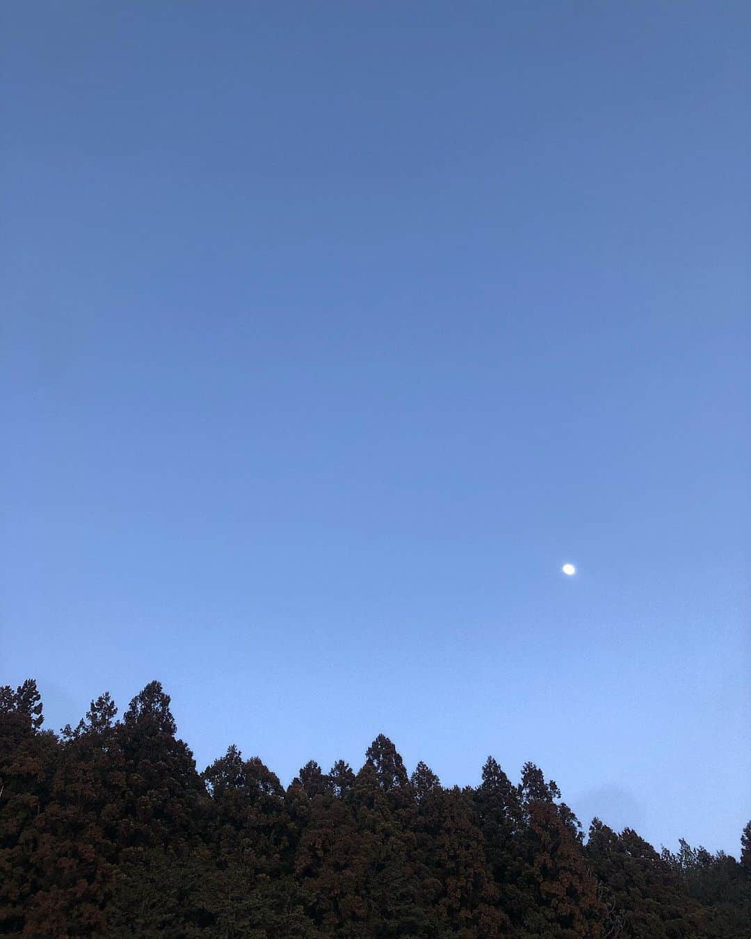 藤村結衣さんのインスタグラム写真 - (藤村結衣Instagram)「自然っていい〜〜〜」1月25日 22時22分 - __iammaru