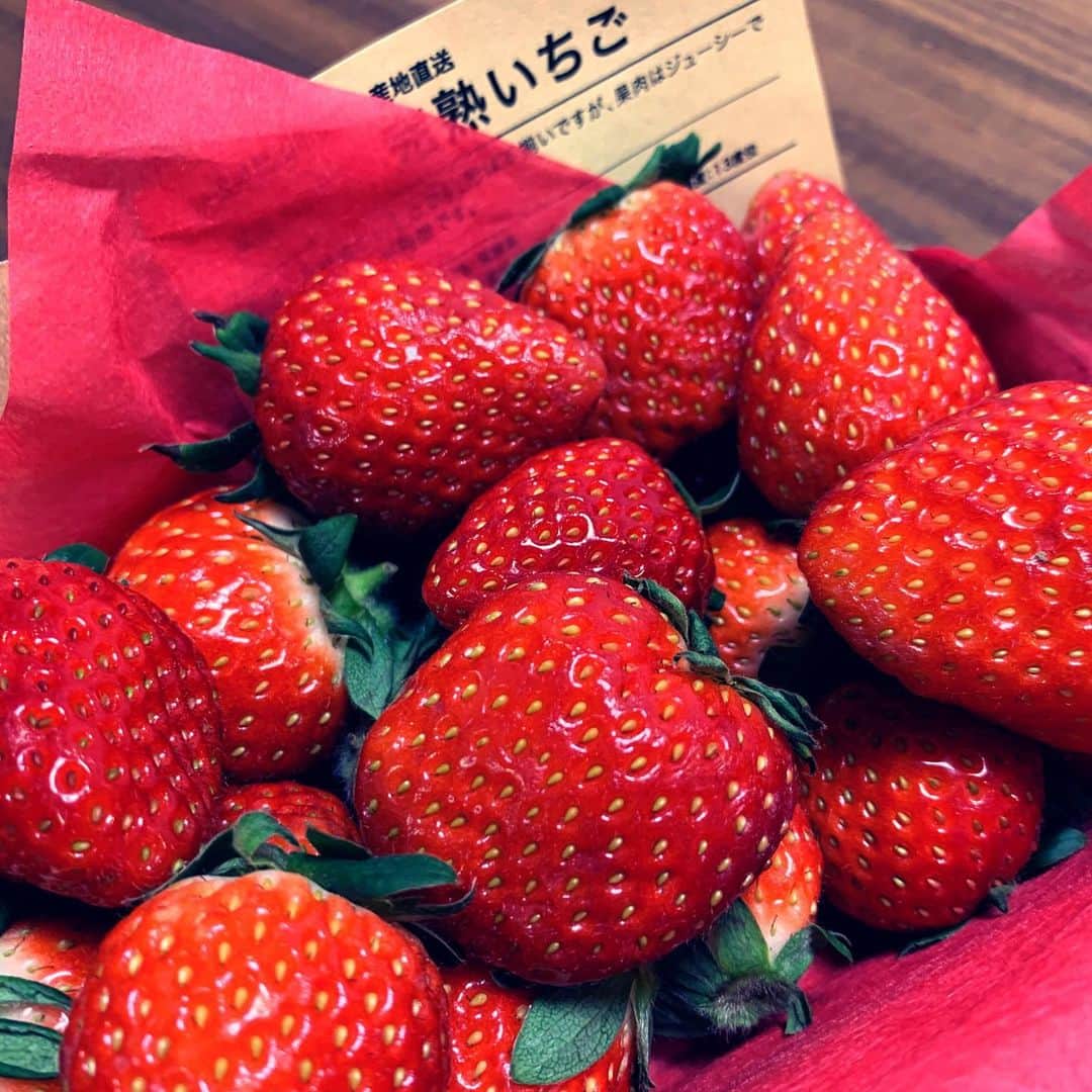 宮崎謙介のインスタグラム：「苺とか嫌いな人いるんですか？」