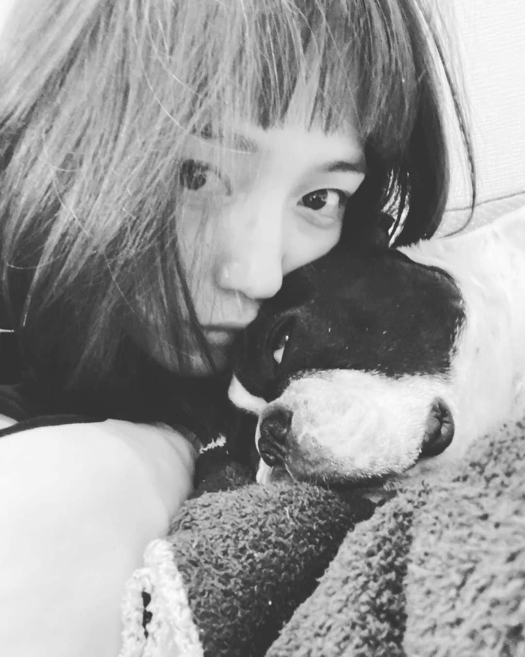 川口春奈さんのインスタグラム写真 - (川口春奈Instagram)「生きるのが少し苦しくなる時がある。それは私だけにのしかかるプレッシャーや周りから見たら羨ましいとも思える期待など。たくさん味方やサポートしてくれる友人などがいるけれども結局はその人にしか分からない辛さや孤独があるのね。それはどの世界でも。だから私は全ての世界で頑張る人たちを尊敬し感謝しその頑張りに脱帽します。私は苦しくなったら大切な人、母、愛犬などを思い出し、頑張っていこうとまた明日から闘います。大事な人たちを悲しませたくないからね。私はそんなに強くないし、よく出来てもないから。今日もいろんなことを思いながら愛犬に癒され明日も頑張って生きようと思ったよ。だからみんな、不器用でもいいから、頑張んなくてもいいから明日を一緒に生きたい。みんな愛してるよ。」1月25日 23時49分 - haruna_kawaguchi_official