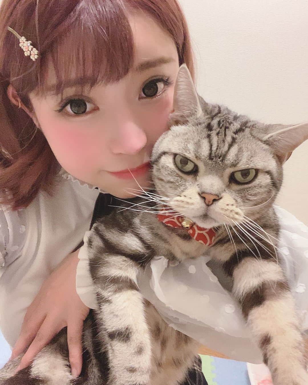 みねりお(旧：柴咲 凛)のインスタグラム：「今日は、髪とメイクバッチリでした💄👄✨おやぷみ🐏💤🌙.*·̩͙  #ボブ #イメチェン #乳柱隊 #大人ロリ #イチナナ #愛猫 #アメリカンショートヘア #100cm超え #みねりお #みねパイ #リアル峰不二子 #撮影会 #グラビア #グラビアアイドル #グラドル自画撮り部 #タレント #インスタグラビア #カメラ #ポートレート #わっしょい #Kカップ #わがままボディ #おっぱい #爆乳 #sexy #１ミリでもいいなと思ったらいいね #ポールダンス #ポールダンス女子 #筋トレ #ストレッチ」