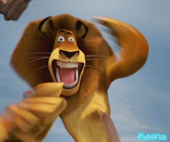 NARA YOUNのインスタグラム：「“No mercy !” I love animating cartoony moments like this. #AlexTheLion was one of the most fun to animate because there were always opportunities to push his rig for cartoony poses.  Memories from a long time ago 🙂♥️ ✨#DreamWorks #Madagascar2 🦁 옛날 옛적 작업한 #드림웍스 #마다가스카2 . 이런 과장된 cartoony 한 장면들 작업하기 좋아하는데, 정말 재밌게 작업한 장면 입니다. 사자 #알렉스 - 할머니와 대결 !💥 알렉스는 항상 현실적인 장벽을 넘나들을 수 있어서 작업하기 재밌어요. ☺️ 그리운 캐릭터들 ♥️ . . #madagascarescape2africa #animation #dw #madagascar #3danimation #윤나라애니메이터 #윤나라애니메이션 #마다가스카르 #마다가스카 #3d애니메이션 #alex #granny #headshot」