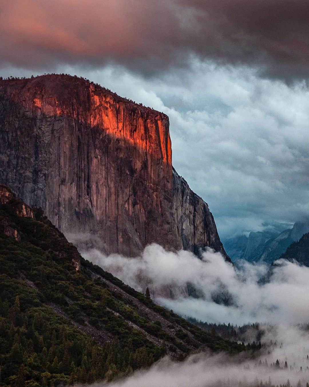 ジミー・チンのインスタグラム：「Different day. Different mood.   After the storm. Yosemite Valley.   Shot on assignment for @natgeo」