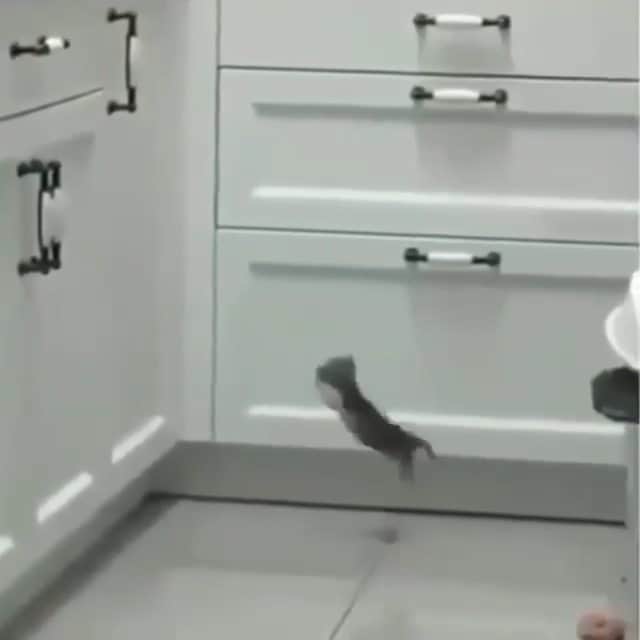 のインスタグラム：「Almost 🤣🤣 Tag your friends」