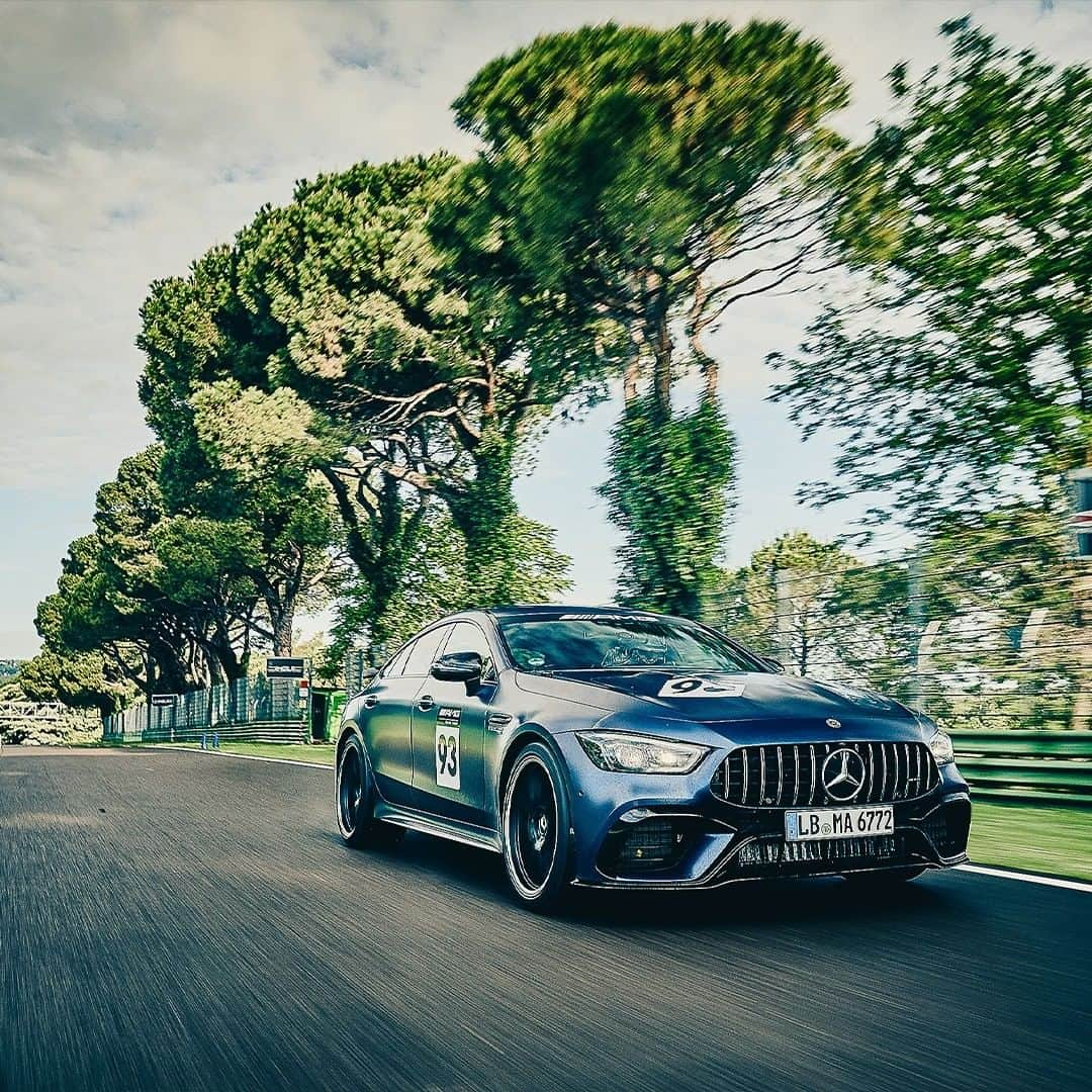 Mercedes AMGさんのインスタグラム写真 - (Mercedes AMGInstagram)「Prove your mettle under the guidance of the #MercedesAMG brand ambassadors on Europe‘s most famous race tracks. The #AMGexperiences are waiting for you – book your seat now! amg4.me/AMGExperiences2501_ig  #AMGracetracktrainings #drivingperformance #WorldsFastestFamily」1月26日 2時00分 - mercedesamg