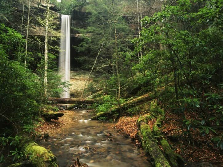 HGTVさんのインスタグラム写真 - (HGTVInstagram)「From Florida to Alaska and every state in between, take a virtual tour around the country with @travelchannel to explore the best national parks in America. 🏞 Where do you want to visit first? 📍⁠⠀ ⁠⠀ 1) Acadia National Park (Maine) (📸 Kim Carpenter)⁠⠀  2) Redwood National and State Parks, California (📸 Carol Highsmith)⁠⠀ 3) Grand Teton National Park, Wyoming (📸 dmathies)⁠⠀ 4) Chattahoochee River National Recreation Area, Georgia (📸 Sebastien Windel)⁠⠀ 5) Sleeping Bear Dunes National Lakeshore, Michigan (📸 Stephen Saks)⁠⠀ 6) Dry Tortugas National Park, Florida (📸 NPS)⁠⠀ 7) Big South Fork Park, Kentucky (📸 Danita Delimont)⁠⠀ 8)Washington Monument, District of Columbia (📸 Dennis Govoni)⁠⠀ 9) Little River Canyon National Preserve, Alabama (📸 Jeff Schreier)⁠⠀ 10) Agate Fossil Beds, Nebraska (📸 Posnov)⁠⠀  Discover 51 national parks to put on your #optoutside bucket list when you visit the link in our profile (and click on the photo from Acadia). 🔝🌳  #FreshStart #nps #nationalparks #optoutside #travelgoals⁠⠀」1月26日 2時12分 - hgtv