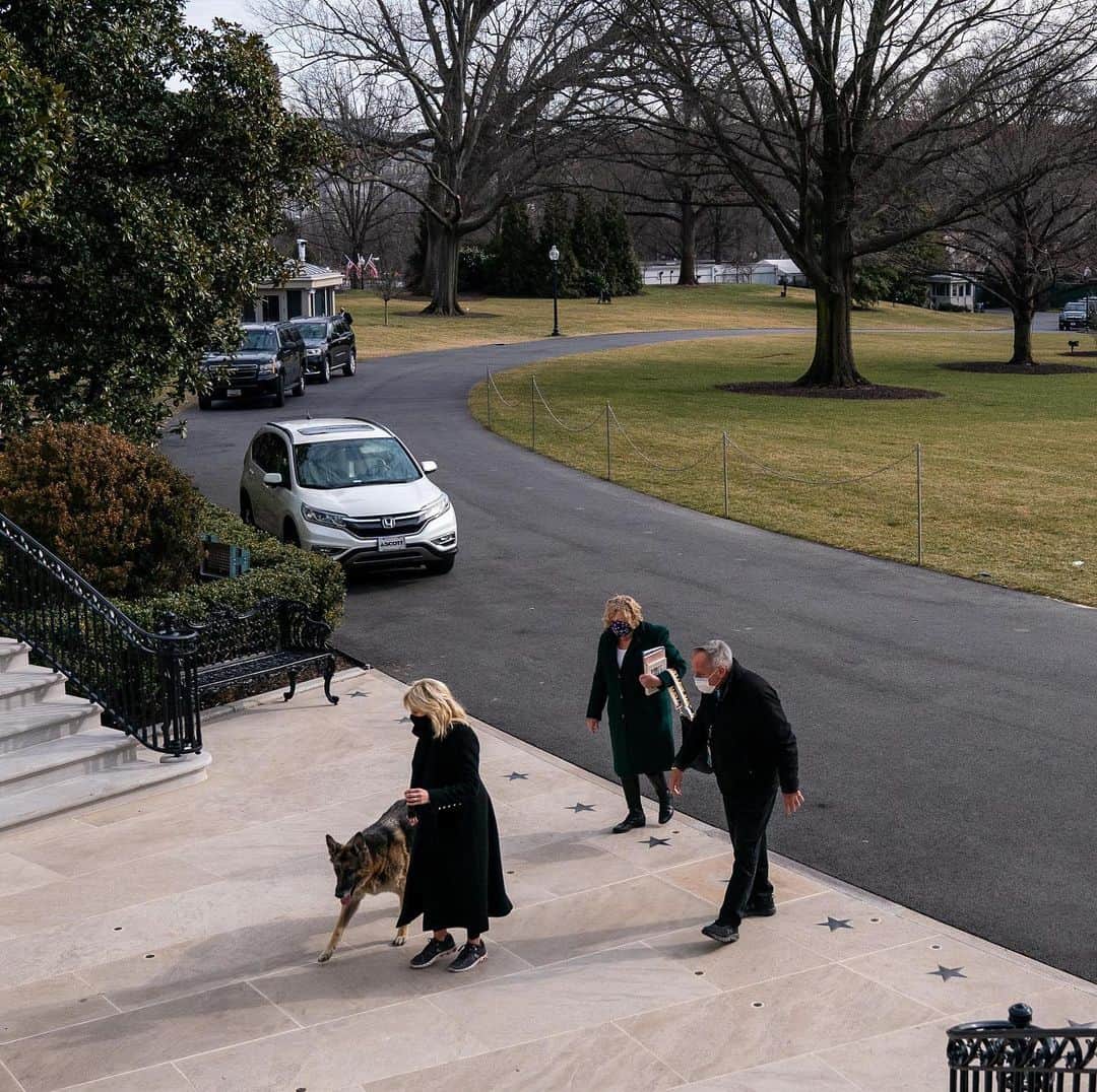 Good Morning Americaさんのインスタグラム写真 - (Good Morning AmericaInstagram)「Champ and Major have officially joined President Biden and First Lady Jill Biden at the White House, marking the return of the long-running tradition of presidential pets. LINK IN BIO! 🐶🐾」1月26日 2時14分 - goodmorningamerica