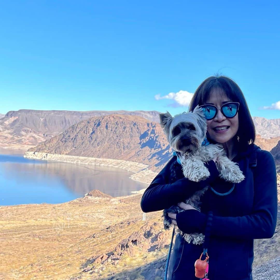 さんのインスタグラム写真 - (Instagram)「Maxito 💭 Mommy and I went on a historic railroad trial  hiking trip at Lake Mead yesterday with a bunch of awesome human and furry friends! ♥️🥰 We did total of 5 miles!! 😆💪🏼💪🏼💪🏼 #HikingTrip #MeetingNewFriends #SoProudOfUs #PerfectDay」1月26日 2時33分 - happyyorkiefamily