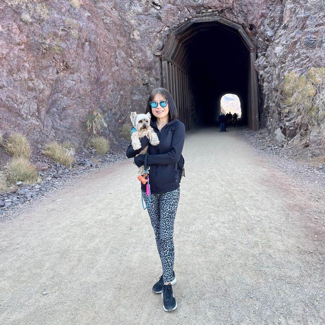 さんのインスタグラム写真 - (Instagram)「Maxito 💭 Mommy and I went on a historic railroad trial  hiking trip at Lake Mead yesterday with a bunch of awesome human and furry friends! ♥️🥰 We did total of 5 miles!! 😆💪🏼💪🏼💪🏼 #HikingTrip #MeetingNewFriends #SoProudOfUs #PerfectDay」1月26日 2時33分 - happyyorkiefamily