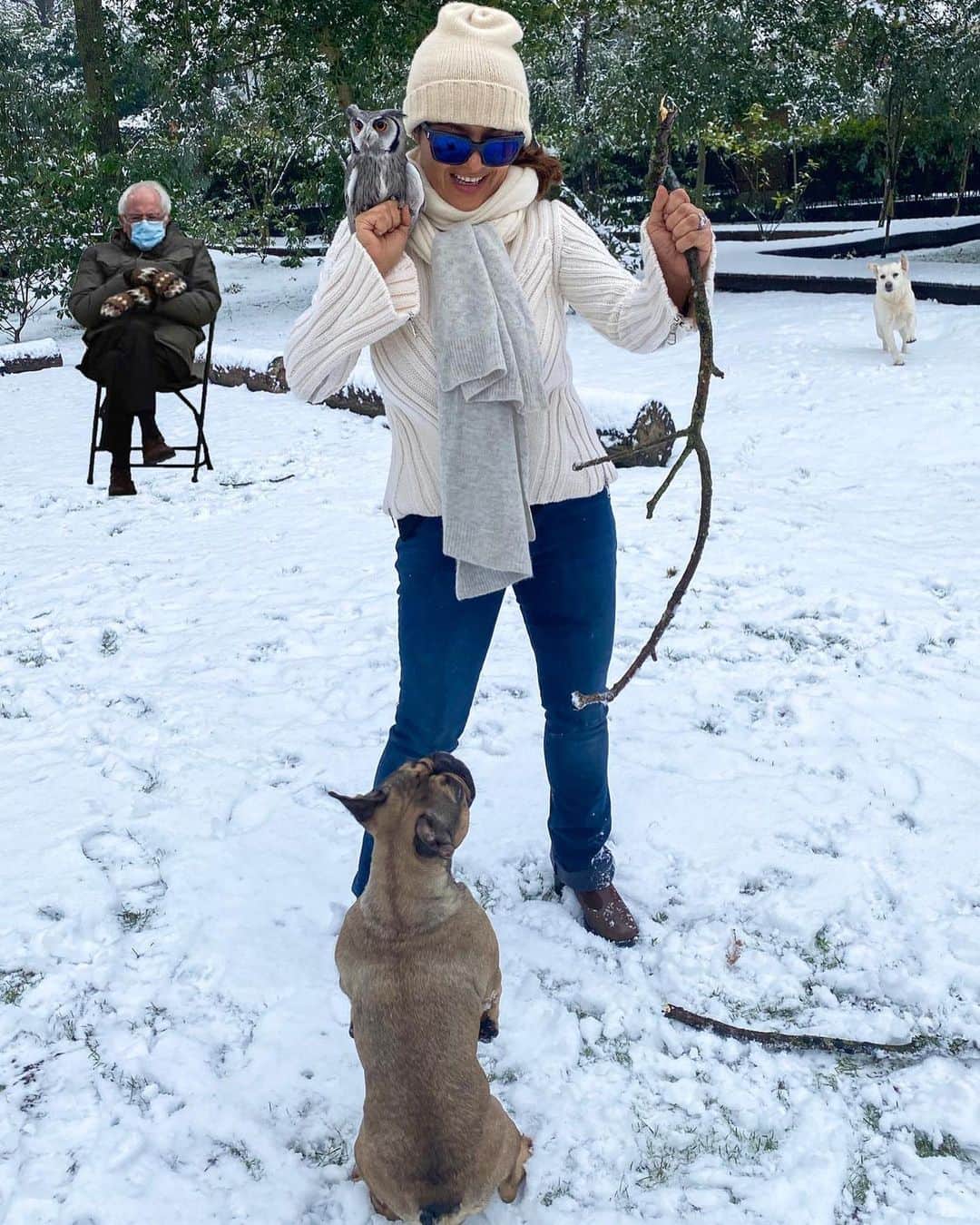 サルマ・ハエックさんのインスタグラム写真 - (サルマ・ハエックInstagram)「It snowed in London, I ran out to play with my dogs and my owl and guess who showed up... #berniesanders. Nevó en Londres salí a jugar con mis perros 🐕 y mi búho 🦉 y miren quien se apareció #animallovers」1月26日 3時04分 - salmahayek
