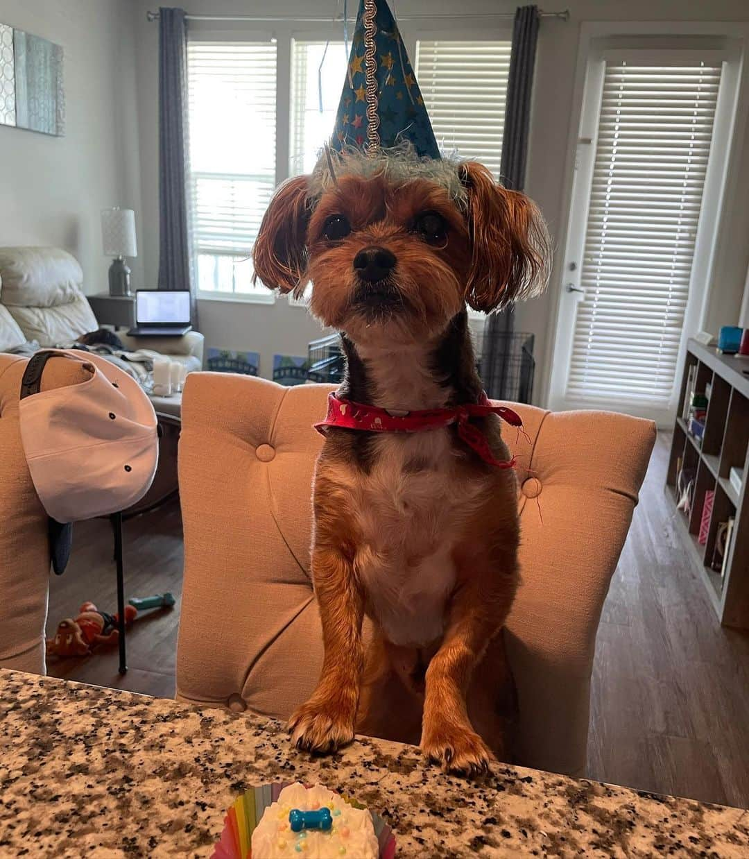 デズリア・ブライアントのインスタグラム：「Happy Birthday to my baby boy. He just turned 7 today.. I love you Kane!! You deserve to be celebrated. You are such a good boy😂」