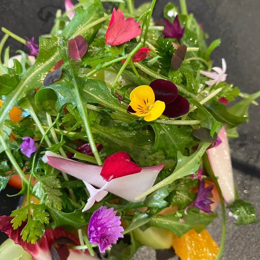 COCO さんのインスタグラム写真 - (COCO Instagram)「🌼🌸🍀🐰  flowers for appetizers◡̈ @bonte_seoul  #본태 #bonte #서호영셰프 #tinachef #도산공원맛집 #청담맛집 #심주하작가」1月26日 4時22分 - rilaccoco