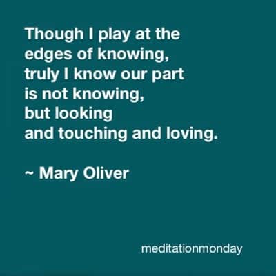 Beam & Anchorのインスタグラム：「This evening at #meditationmonday we will be exploring being in sensory relationship with the moment, and the natural world, as a way to meet uncertainty, and listen to what endures. We invite you to join us. 🧡 7-8:30 PST - all warmly welcomed. By sliding scale donation; no one turned away due to lack of funds. 🧡 Details to join via bio link 🧡 with @dashmargaret @openspacemindfulness @thepeachspace ✨✨✨」