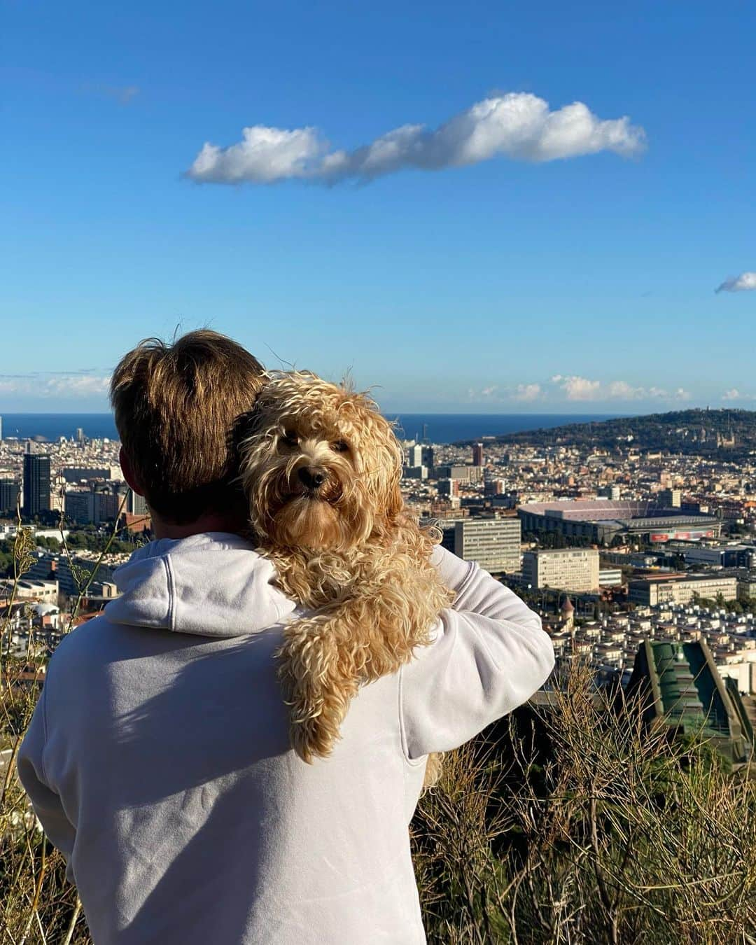 フレンキー・デ・ヨングさんのインスタグラム写真 - (フレンキー・デ・ヨングInstagram)「💙 Barcelona」1月26日 4時32分 - frenkiedejong