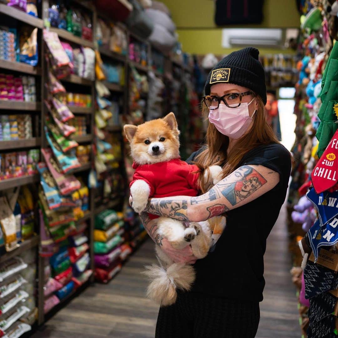 The Dogistさんのインスタグラム写真 - (The DogistInstagram)「Foxy & Cups, Pomeranians (15 & 8 y/o), @bushwickbark, Brooklyn, NY • “I managed restaurants for years and one day I got laid off. To fill my time, I started volunteering at an animal shelter and found myself there every single day. I ended up getting a job at a local pet store, and I thought to myself, ‘I can do this on my own and I can do it better’. I just wanted to be around animals all the time. We opened our first store in 2013 and it was incredible. Going from restaurants to animals was the best thing ever – I was like, ‘Wow, people don’t actually suck.’ The moment I opened the first store I started cat adoptions, and I opened the second store because I needed more room to do dog adoptions. We do a ton of events every year for animal rescue, and that is absolutely what I want to be known for. Everything is changing throughout COVID – we had to close for an entire month, we can’t operate at full capacity, and we got broken into the other day. The good news is everyone is adopting right now, so I have a lot of new customers.” #AllInNYC #NYCStrong」1月26日 4時32分 - thedogist