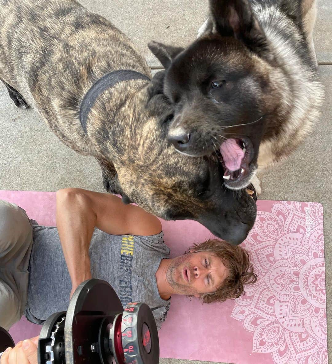 エリック・クリスチャン・オルセンのインスタグラム：「We got a whole backyard and these two furry monsters have to battle royale on top of me while I'm just trying to get a little TV tricep blast??」
