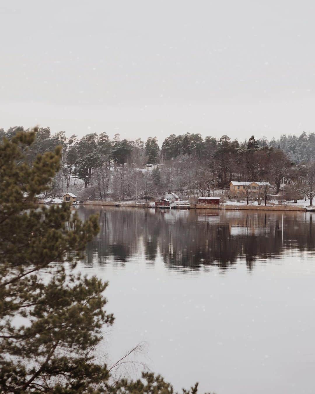 Anna Nyströmのインスタグラム：「January view 🤍」