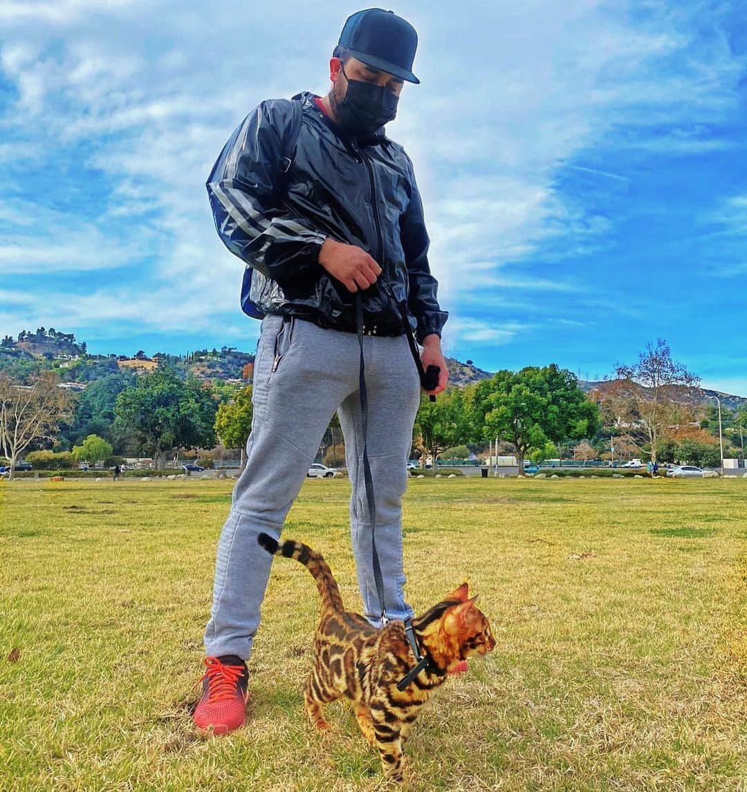 ケビン・オーティズさんのインスタグラム写真 - (ケビン・オーティズInstagram)「Sacando a pasear a mi @benjizitro #cat #catlovers #cats #bengalcat #catsoftheworld 🐯❤️🙏🏻」1月26日 5時05分 - kevinortizoficial