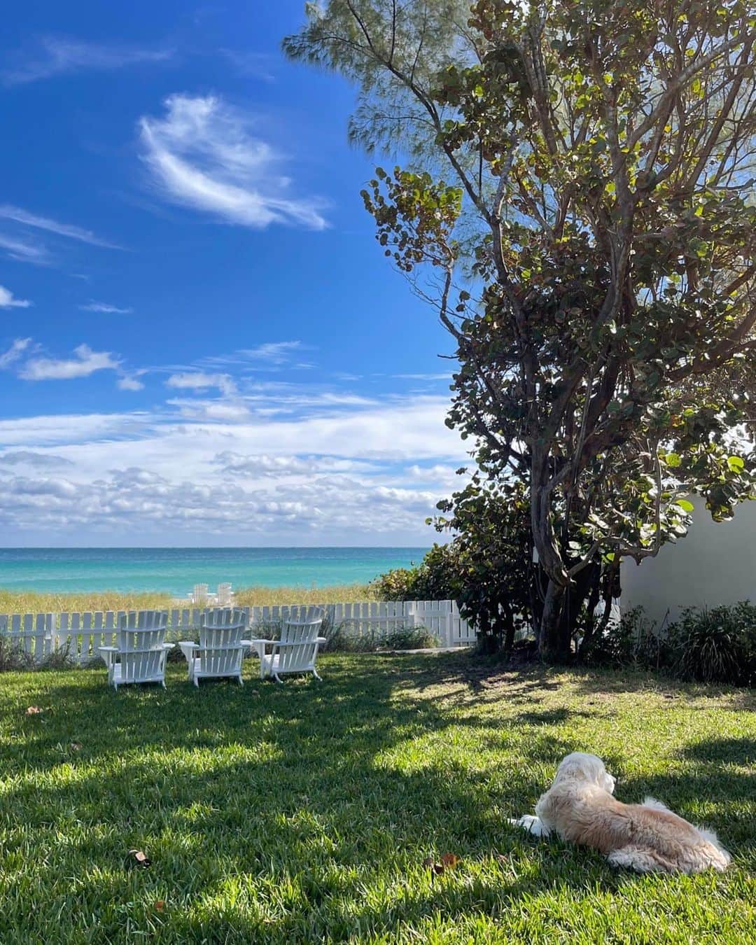 ブルース・ウェーバーのインスタグラム：「The best seats in town, Golden Beach, FL.」