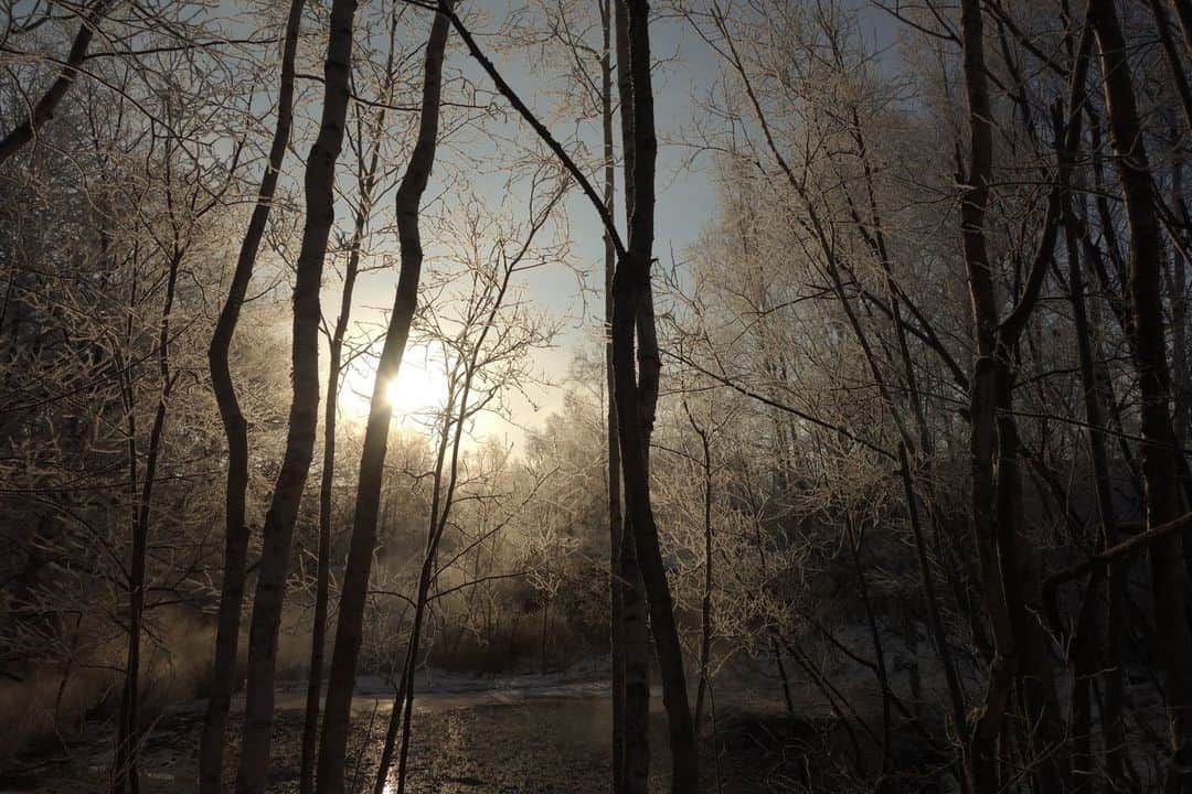 日本の国立公園さんのインスタグラム写真 - (日本の国立公園Instagram)「Follow: @nationalpark_japan⠀ Location: Misono River,kawayuonsen,Teshikaga/弟子屈町川湯温泉ミソノ川⠀ .⠀ The morning air at Kawayu Onsen is so freezing that it can hurt to breathe. But its harsh environment may present you with fantastic sceneries sometimes.⠀ .⠀ On our Instagram, we will also share wonderful photos of National Parks of Japan posted on Instagram with the tag #nationalparksjp. We look forward to your participation!⠀ .⠀ #AkanMashuNationalPark #阿寒摩周国立公園 #北海道⠀ .⠀ #NationalPark #nationalparks #nature #findyourpark #instafollow #japan #landscape #landscape_lovers #ourplanetdaily #landscapephotography #hiking #outdoors #traveling #travel #explore #visitjapanjp #日本 #國家公園 #일본 #국립공원 #国立公園」1月26日 15時00分 - nationalpark_japan