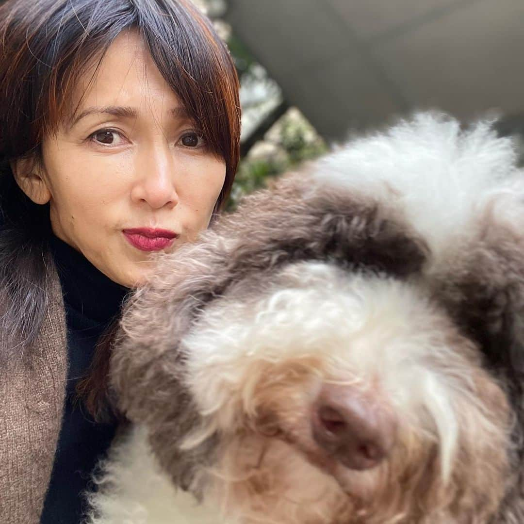 工藤静香さんのインスタグラム写真 - (工藤静香Instagram)「なかなか育たないし、貧相になっていく、、、と思ったら。 ん？誰かブロッコリー🥦の葉を食べている‼️‼️ 現行犯で捕まえられたのはエトくん、そしてアムちゃんの口に葉っぱが付いてました😂 最後の写真を見ればわかると思いますが、知らんフリしてます🤣」1月26日 15時09分 - kudo_shizuka