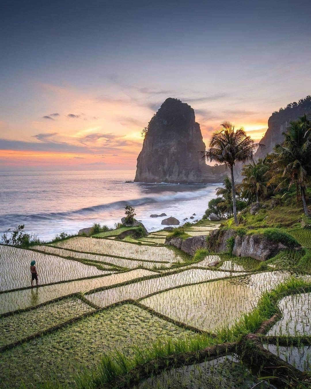 FUJIFILM INDONESIAさんのインスタグラム写真 - (FUJIFILM INDONESIAInstagram)「Pantai Pangasan bisa menjadi salah satu tujuan kamu saat berkunjug ke Pacitan, Jawa Timur. Pantai ini yang menghadirkan keindahan dan ketenangan yang akan selalu membuat pengunjung terhipnotis seperti yang terekam pada karya @maspeot ini.  Captured by @maspeot using FUJIFILM X-T3 Lens Fujinon XF10-24mmF4 R OIS  #XT3_id #XT3 #GoFUJIFILM #fujifilm_id」1月26日 16時00分 - fujifilm_id