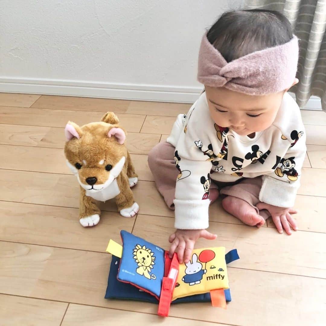 遠山雄也のインスタグラム：「#RELAXX . . はい、おはよう😃 今日はサロン定休日💤 . 明日以降のご予約をお待ちしてます👍🏼 . . . イヴちゃん🐕と仲良し . 🐕📚👶🏻 . . . #生後222日 #女の子ベビー #柴犬と娘 . . . . #育児記録 #子供のいる暮らし . . #遠山雄也 #ヘアメイク . . ✂︎✂︎✂︎✂︎✂︎✂︎✂︎✂︎✂︎✂︎ RELAXXではスタッフを募集しています ✂︎✂︎✂︎✂︎✂︎✂︎✂︎✂︎✂︎✂︎ #美容師募集 #スタイリスト募集 #アシスタント募集 #ヘアメイク募集 #ネイリスト募集」