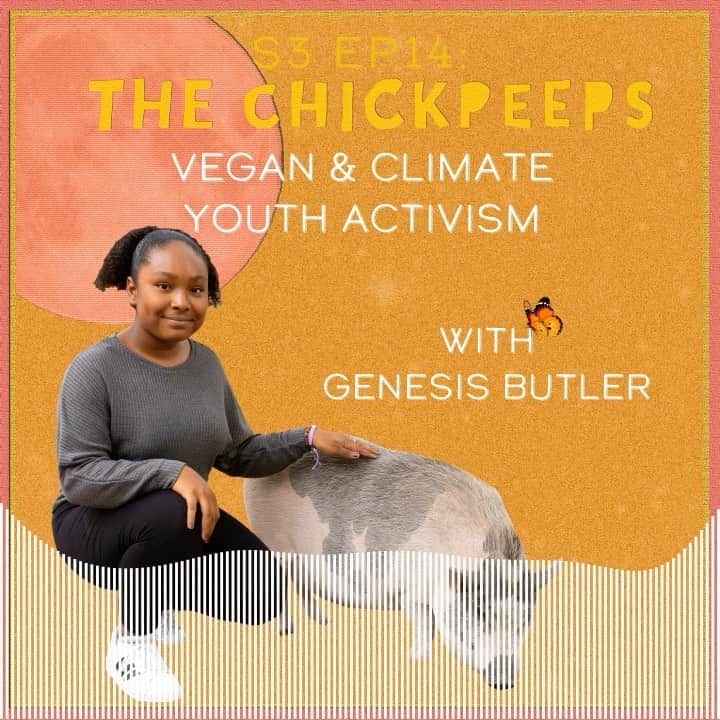 イヴァナ・リンチのインスタグラム：「Friendly reminder to check out the most recent episode of @chickpeepspod with the dazzling vegan and climate activist @genesisbutler_ ✨❤️🌱 Link to the episode in bio! 🎧  I get so many questions online from young people who are curious about veganism or animal rights activism but have no idea where to start with using their voice for the causes they care about...well, @genesisbutler_ is the one to follow for inspiration, motivation and creative ideas for how to start your journey as an activist!! She’s one of the most hopeful, determined and purposeful people I’ve met and you need look no further than her nonprofit @genesisforanimals, her youth climate organisation @youthclimatesave or her episode of Marvel’s Hero Project on Disney+ to see how far that outlook has got her in having a positive impact on the world and on thousands of people. I came away from our conversation feeling so uplifted and challenged to use my own skills and resources more effectively as an activist.   Please give it a listen or share it with a young activist you know! Thank you sweet peeps 🙏🏻💗   Photo credit: Molly Haas at @kindredspiritscarefarm   #TheChickPeeps #GenesisButler #veganpodcast #chickpeepspodcast #veganforanimals #youthactivism #climateactivism」