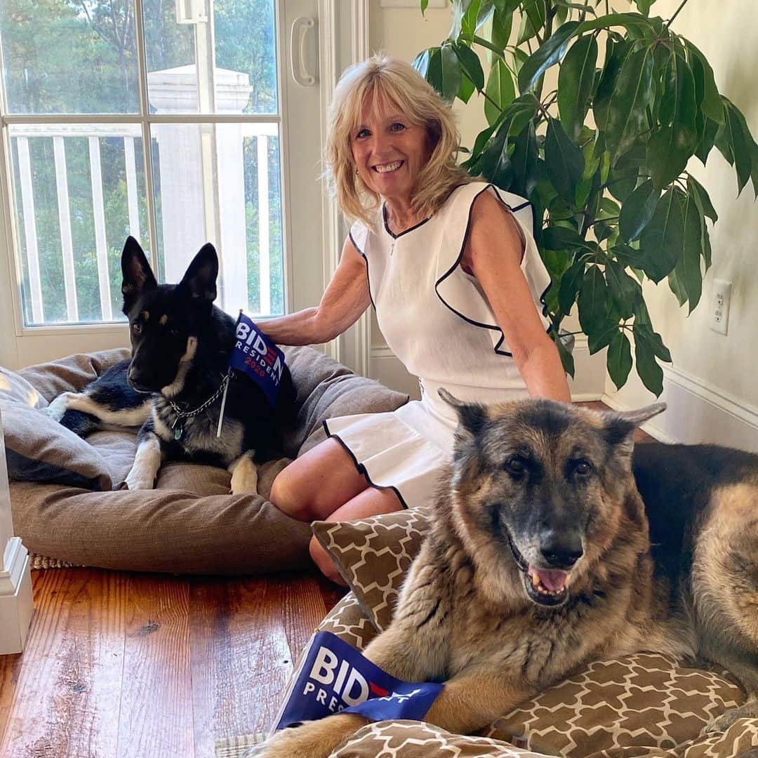 Vogueさんのインスタグラム写真 - (VogueInstagram)「Major and Champ, the two the German shepherds of President @JoeBiden and first lady @DrBiden, have arrived at the White House. Champ joined the Biden family in December 2008, shortly after Biden had become vice president-elect. Major came almost 10 years later. The Bidens fostered him from the @delawarehumane and made his adoption official in November 2018. Major is believed to be the first rescue dog from a shelter to take up residence in the White House.   Tap the link in our bio to read more. #regram @first_dogs_usa」1月26日 9時00分 - voguemagazine