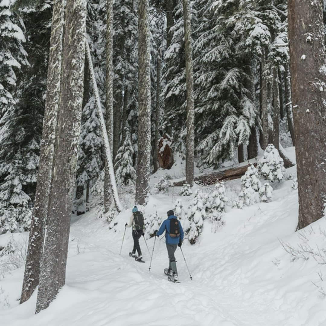 REIさんのインスタグラム写真 - (REIInstagram)「The trails are covered in snow, but that’s no reason to stay home. Whether it’s with a sleek pair of cross-country skis or trusty snowshoes, put the “out” back in “workout.” #OptOutside」1月26日 9時01分 - rei