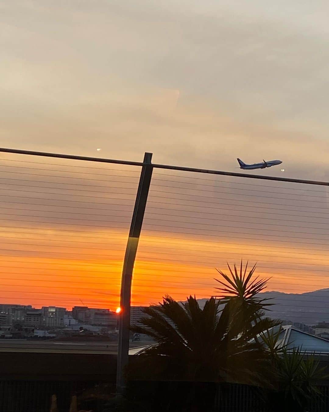 奥野莉瑛子のグルメインスタ